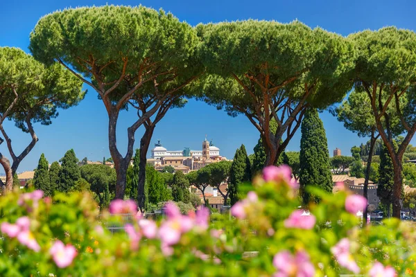 Ρώμη αυξήθηκε Κήπος, Ιταλία — Φωτογραφία Αρχείου