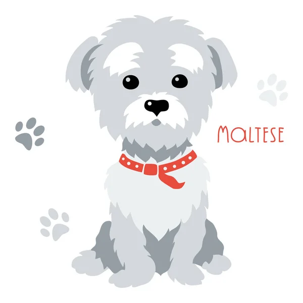 Bosquejo vectorial divertido perro maltés sentado — Vector de stock