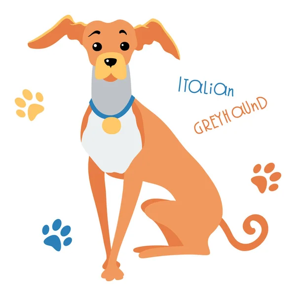 Vector esboço engraçado italiano Greyhound cão sentado — Vetor de Stock