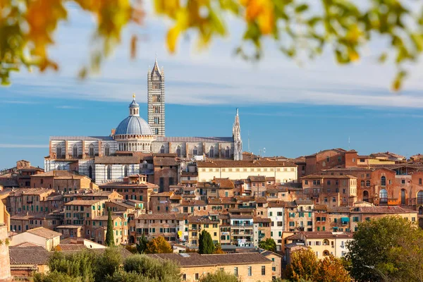 Catedral de Siena en el día soleado, Toscana, Italia — Foto de Stock