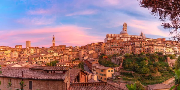 Catedral de Siena al atardecer, Toscana, Italia —  Fotos de Stock