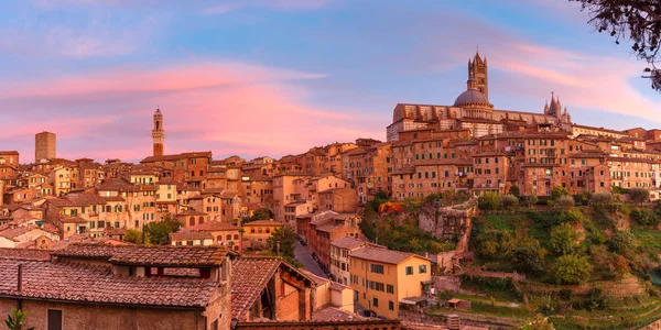 Catedral de Siena al atardecer, Toscana, Italia —  Fotos de Stock