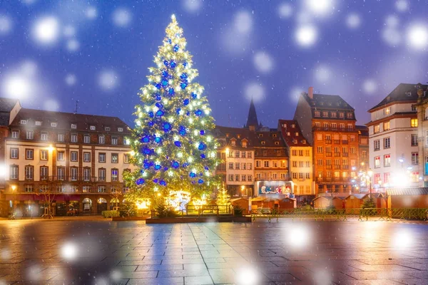 Noel ağacı Strasbourg, Alsace, Fransa — Stok fotoğraf