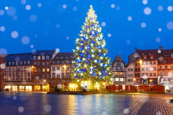 Julgran i Strasbourg i Alsace, Frankrike — Stockfoto