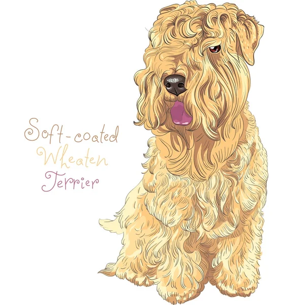 Perro Wheaten Terrier con recubrimiento suave — Vector de stock