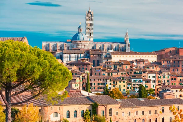 Catedral de Siena en el día soleado, Toscana, Italia —  Fotos de Stock