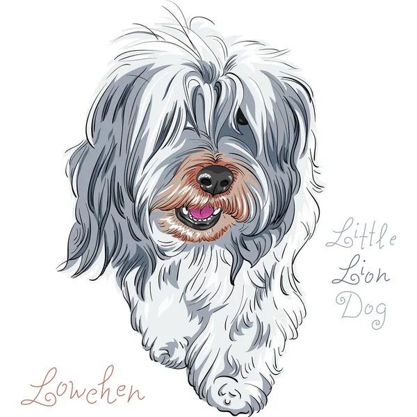 Διάνυσμα σκύλοs breed Lowchen — Διανυσματικό Αρχείο
