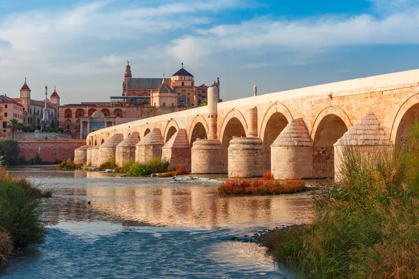 Mezquita και Ρωμαϊκή γέφυρα στην Κόρδοβα, Ισπανία — Φωτογραφία Αρχείου