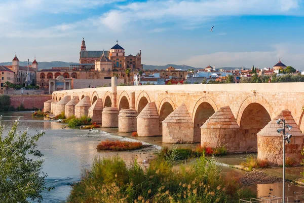 Mezquita en Romeinse brug in Cordoba, Spanje — Stockfoto