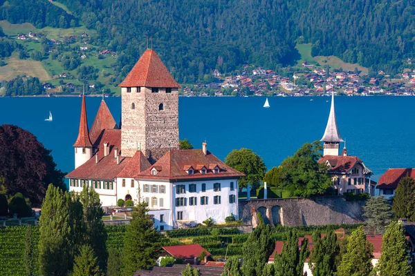 スイスのスピーズ教会と城 — ストック写真