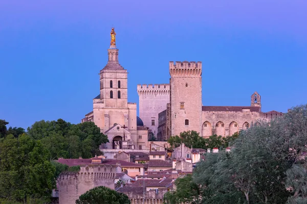 Pałacu Papieży, Avignon, Francja — Zdjęcie stockowe