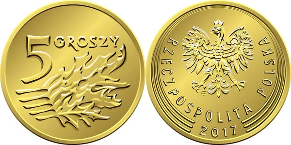 Polish Money five Groszy coin — Stock Vector