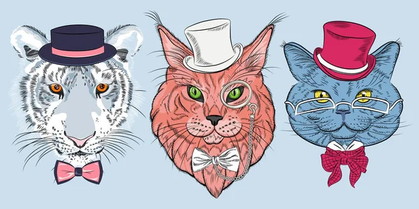 猫科动物的病媒集 — 图库矢量图片