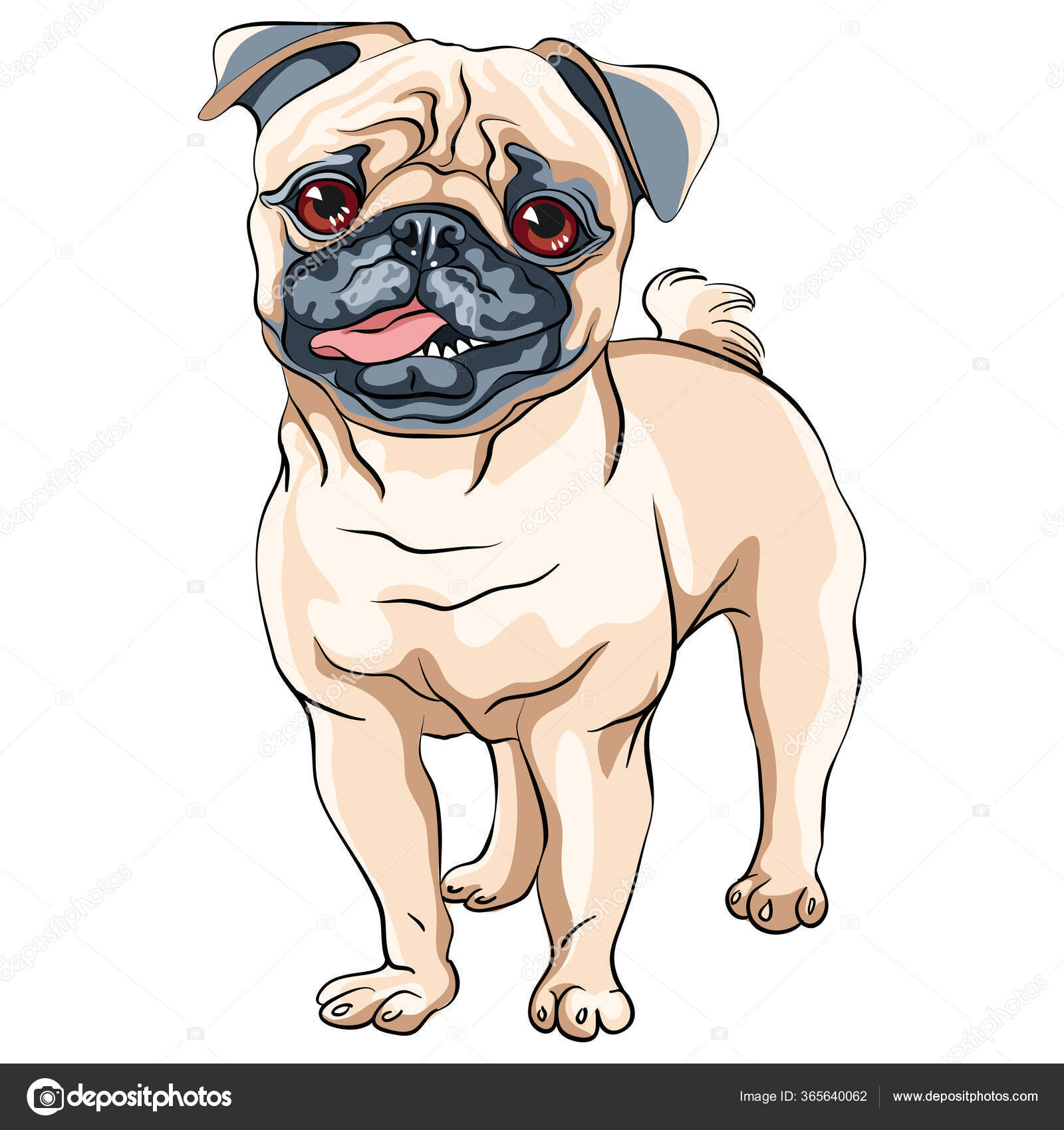 벡터귀여운 개복치 품종 스톡 벡터 - ©olgacov 365640062, image size:1600x1700