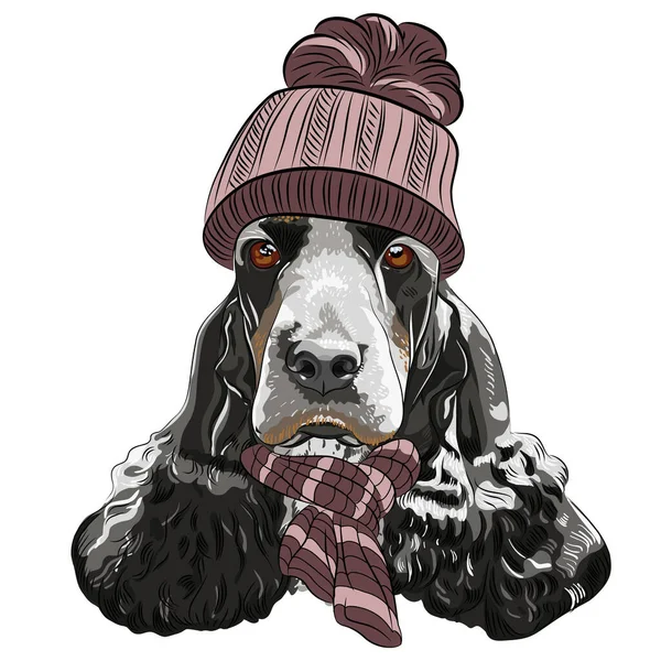 Vetor hipster cão Inglês Cocker Spaniel —  Vetores de Stock