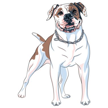 vector sketch dog American Bulldog breed clipart