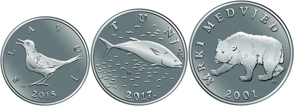 Conjunto de monedas de plata kuna dinero croata — Vector de stock