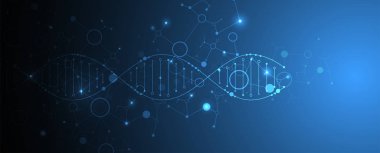 Bilim şablonu, duvar kağıdı ya da DNA moleküllü pankart. Vektör illüstrasyonu