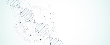 Bilim şablonu, duvar kağıdı ya da DNA moleküllü pankart. Vektör illüstrasyonu.
