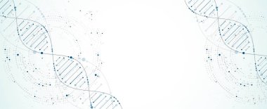 Bilim şablonu, duvar kağıdı ya da DNA moleküllü pankart. Vektör illüstrasyonu.