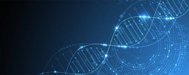 Bilim şablonu, duvar kağıdı ya da DNA moleküllü pankart. Vektör illüstrasyonu.