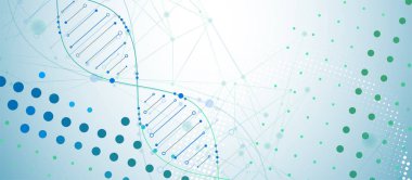 Bilim şablonu, duvar kağıdı ya da DNA moleküllü pankart. Vektör illüstrasyonu.