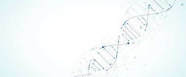 Bilim şablonu, duvar kağıdı ya da DNA moleküllü pankart. Vektör illüstrasyonu