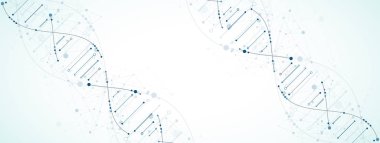 Bilim şablonu, duvar kağıdı ya da DNA moleküllü pankart. Vektör illüstrasyonu