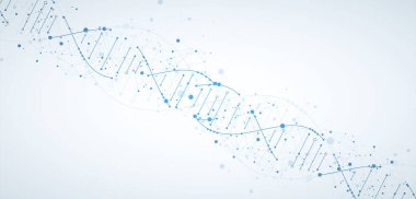 Bilim şablonu, duvar kağıdı ya da DNA moleküllü pankart. Vektör illüstrasyonu