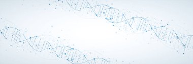 Bilim şablonu, duvar kağıdı ya da DNA moleküllü pankart. Vektör illüstrasyonu