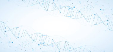 Bilim şablonu, duvar kağıdı ya da DNA moleküllü pankart. Vektör illüstrasyonu