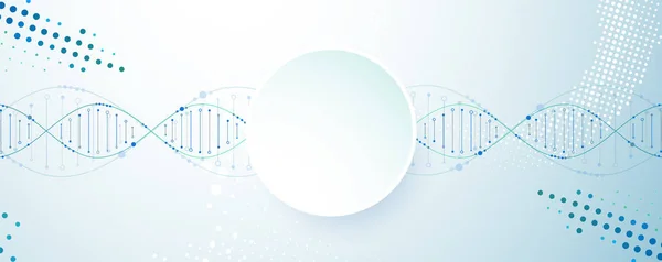 Modelo Ciência Papel Parede Banner Com Moléculas Dna Ilustração Vetorial — Vetor de Stock