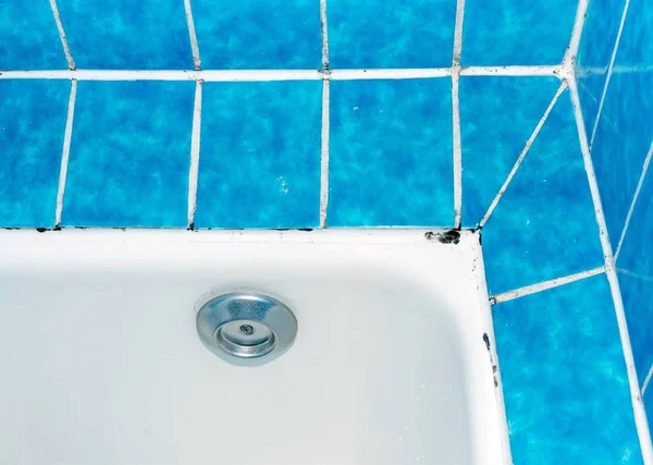 Molde Húmedo Que Crece Lechada Azulejos Sellador Silicio Una Bañera —  Fotos de Stock