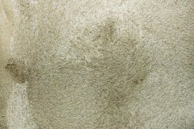 Metnin için kopyalama alanı olan çimento desenli bir arkaplan çerçevesi