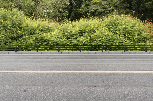 Road trädgård bakgrund — Stockfoto