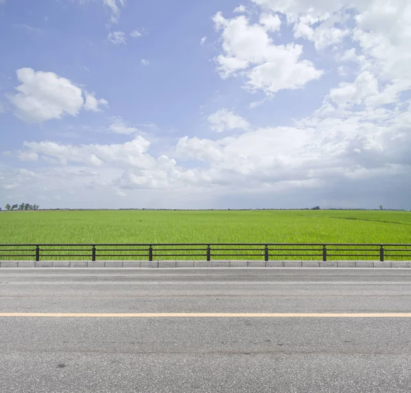 Vista para a estrada e grama verde no céu azul . — Fotografia de Stock