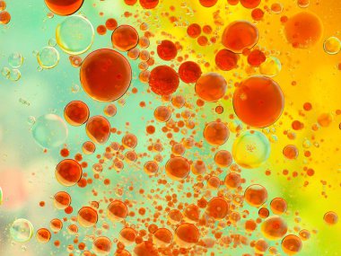 psychedelic petrol düştü 