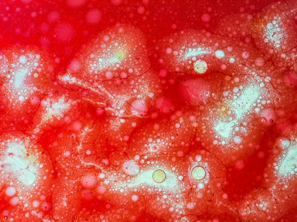 Many red bubbles — Stock Photo, Image