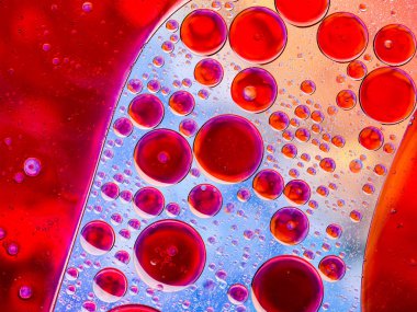 Kırmızı kabarcıklar seyahat