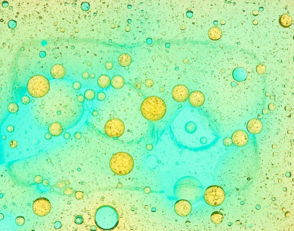 Kırmızı kabarcıklar seyahat