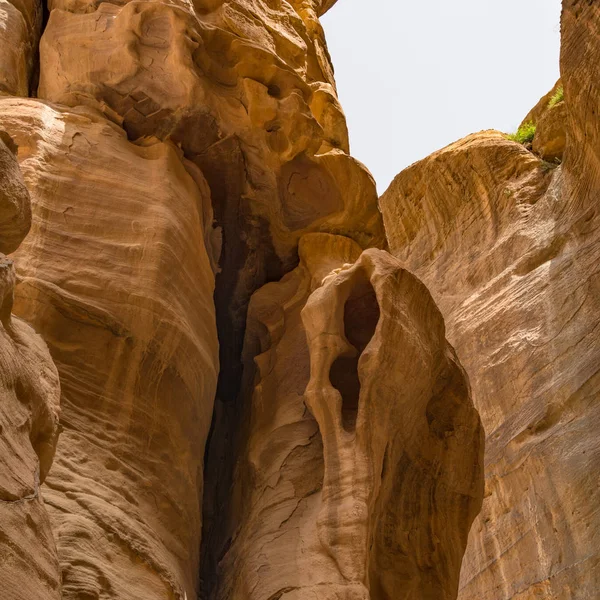 Canyon in Petra, Jordan — Stockfoto