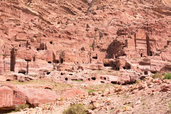 Rose City of Petra Fotografie de stoc