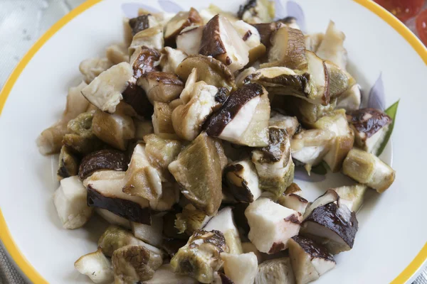 Kubus van ruwe porcini paddestoelen — Stockfoto