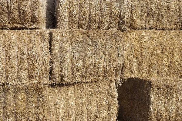 Detail of bales of hay — Stock Photo, Image