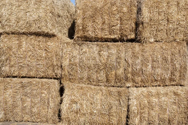 Detail of bales of hay Stock Picture