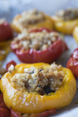 Dolgulu biber vejetaryen