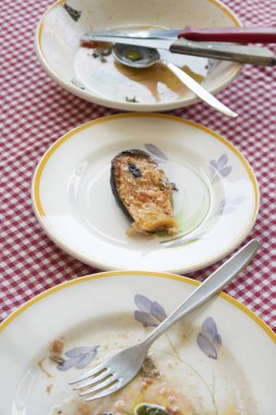 Sicilya patlıcan dolması