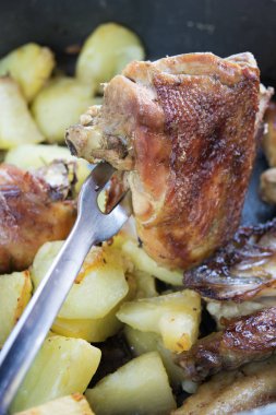 kızarmış tavuk göğsü