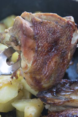 kızarmış ekmek arası tavuk göğsü