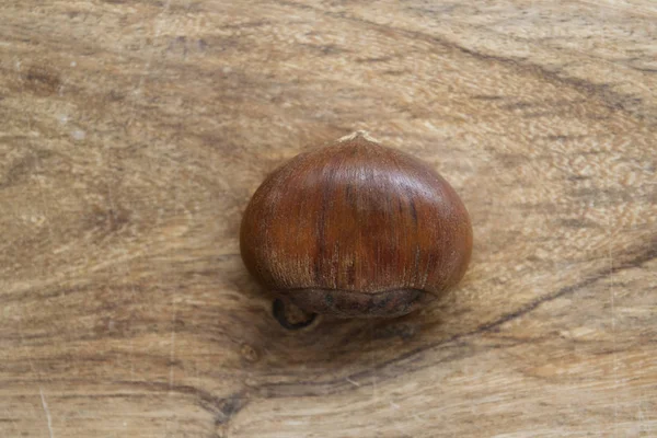 Castaño único sobre fondo de madera — Foto de Stock